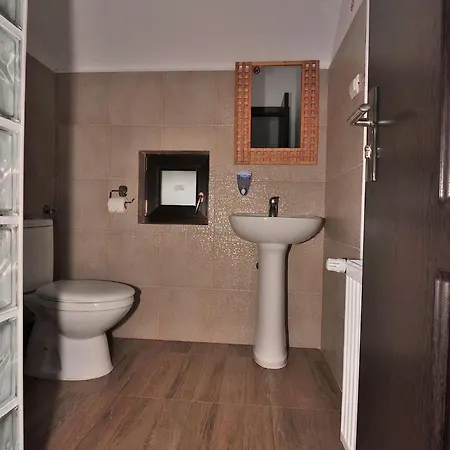 Guest house Pensiunea Alex