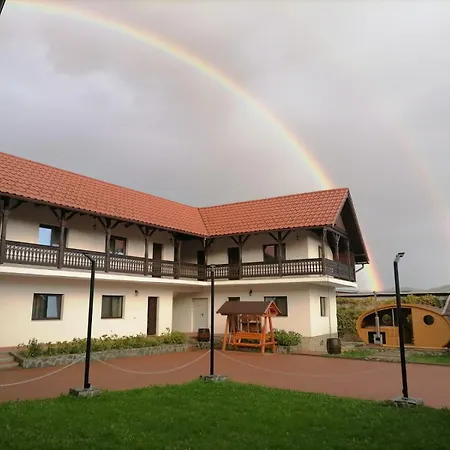 Pensiunea Alex Guest house *