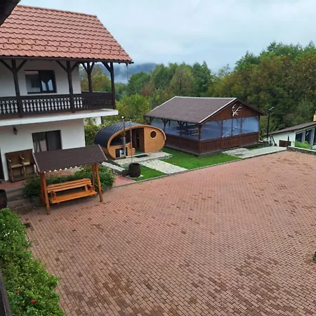 Guest house Pensiunea Alex *