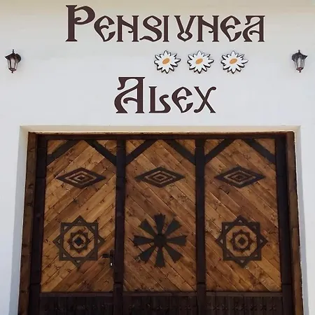 Pensiunea Alex Guest house Marga