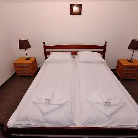 Pensiunea Alex Guest house