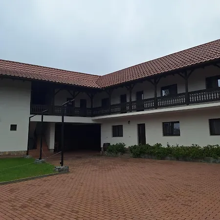 Pensiunea Alex Guest house *